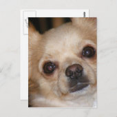 Carte Postale Beurre (Devant / Derrière)