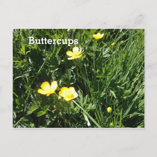 Carte Postale Beurre, fleur, photo (Devant)