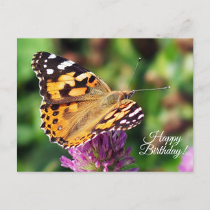 Carte postale Beurre-Papillon Peint Joyeux Anniver