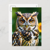 Carte postale Beuty and Wisdom (Devant / Derrière)