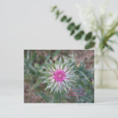 Carte Postale BeWhatYouDream (Debout devant)