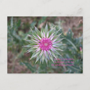 Carte Postale BeWhatYouDream
