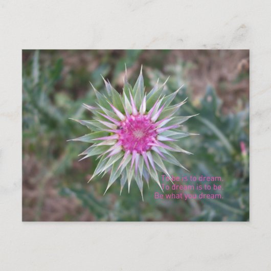 Carte Postale BeWhatYouDream (Devant)