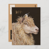 Carte postale BFF avec mouton et poulet (Devant / Derrière)