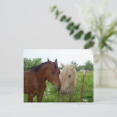 Carte Postale BFF Best Friends Forever - Chevaux (Debout devant)