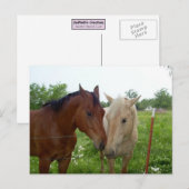Carte Postale BFF Best Friends Forever - Chevaux (Devant / Derrière)