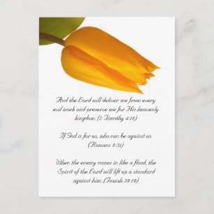 Carte Postale Bible passage, tulipe jaune