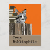Carte Postale Bibliophile vrai - chat avec des livres (Devant)