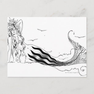 Carte Postale Bibliothèque de liquides 14