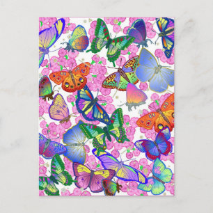 Carte Postale Bibliothèque de liquides 7