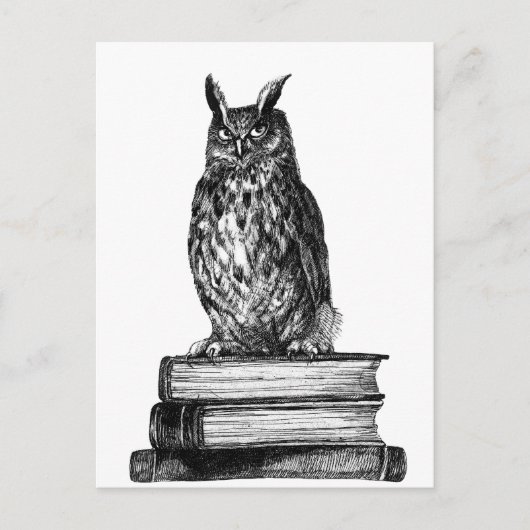Carte Postale Bibliothèque Owl (Devant)