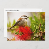 Carte Postale Bichadee à la châtaigne (Devant / Derrière)