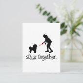 Carte Postale Bichon Frise (Debout devant)