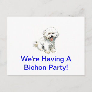 Carte Postale Bichon Frise