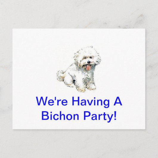 Carte Postale Bichon Frise (Devant)