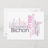 Carte Postale Bichon Frise (Devant / Derrière)