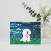 Carte Postale Bichon Frise 1 - Lys #5 (Debout devant)