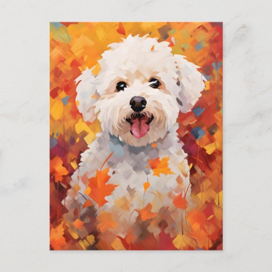 Carte Postale Bichon Frise Action de grâce d'automne (Devant)