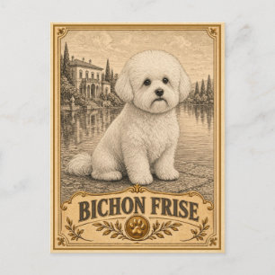 Carte Postale Bichon Frise, Chien du Patrimoine Vintage