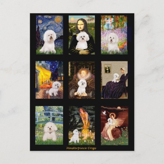 Carte Postale Bichon Frise Composite (Devant)