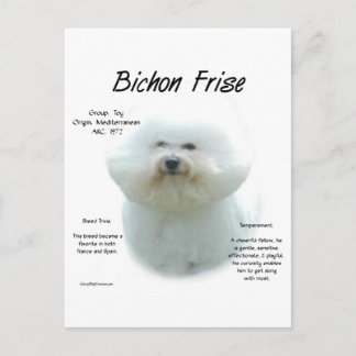 Carte Postale Bichon Frise Histoire; Tout sur Bichon Frise