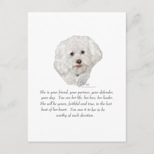 Carte Postale Bichon Frise Keepsake