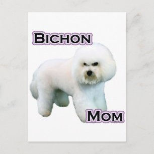 Carte Postale Bichon Frise Maman 4