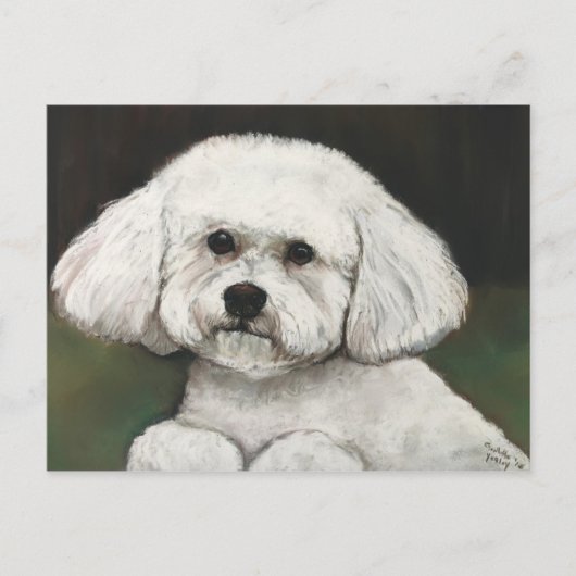 Carte postale Bichon Frise Original Chien Art (Devant)