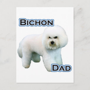 Carte Postale Bichon Frise Papa 4