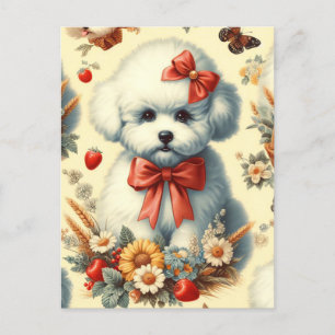 Carte Postale Bichon Frisé Vintage