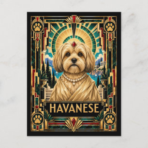 Carte Postale Bichon Havanais, chien Art Déco