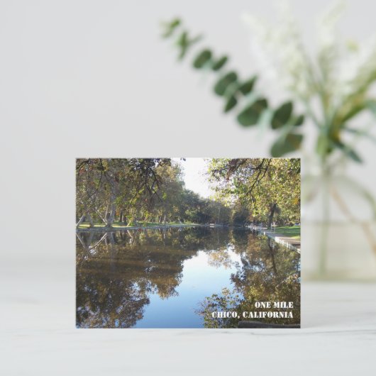 Carte postale Bidwell Park (Debout devant)