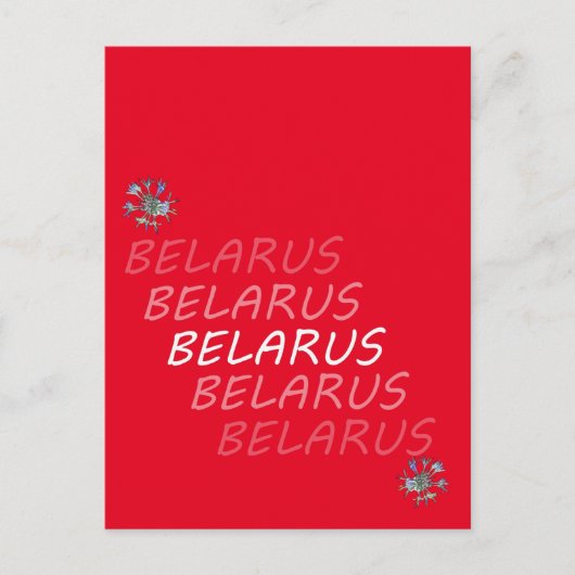 Carte Postale Biélorussie Fleur nationale de maïs (Devant)