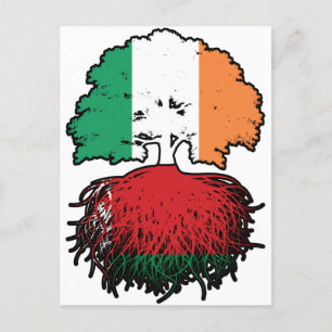 Carte Postale Biélorussie Irlande Biélorusse Drapeau des racines