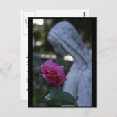 Carte Postale Bienheureuse Vierge Marie & le Rose (Devant / Derrière)