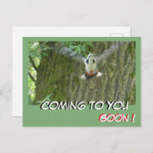 Carte postale Bientôt disponible (Devant / Derrière)