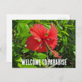 Carte Postale Bienvenue au Paradis Maison de la Fleur Tropicale  (Devant / Derrière)