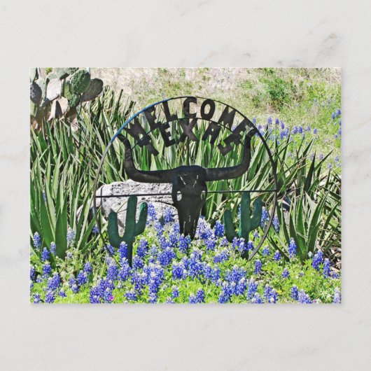 Carte Postale Bienvenue au Texas Bluebonnet (Devant)