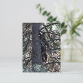 Carte Postale Bienvenue aux Soeurs (Debout devant)