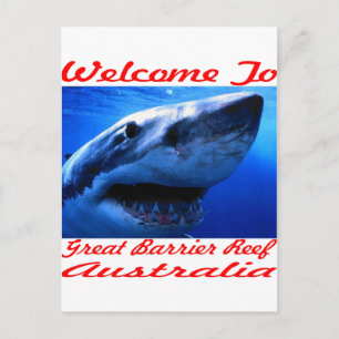 Carte Postale Bienvenue chez le requin de la Grande Barrière de 