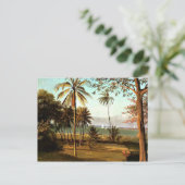 Carte Postale Bierstadt - Scène Floride (Debout devant)