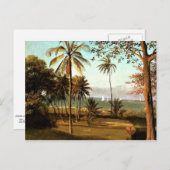 Carte Postale Bierstadt - Scène Floride (Devant / Derrière)
