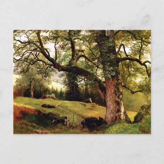 Carte Postale Bierstadt - Un sentier à travers les arbres (Devant)