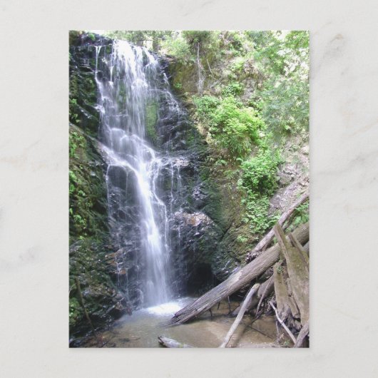 Carte Postale Big Basin, Montagnes Père Noël Cruz (Devant)