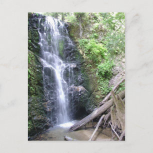 Carte Postale Big Basin, Père Noël Cruz