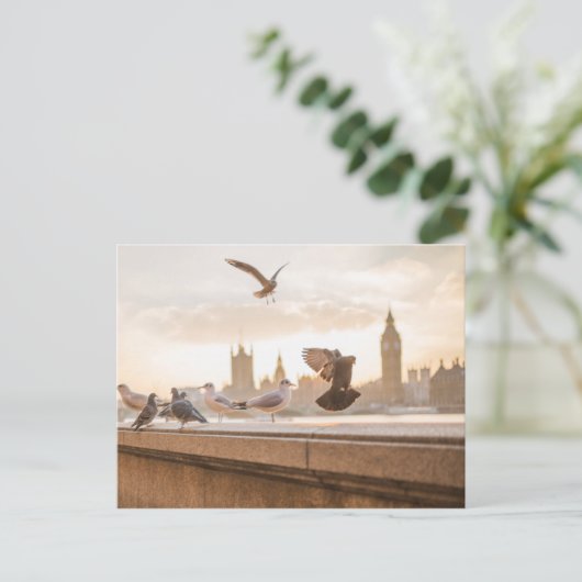 Carte Postale Big Ben et Westminster avec Pigeons (Debout devant)