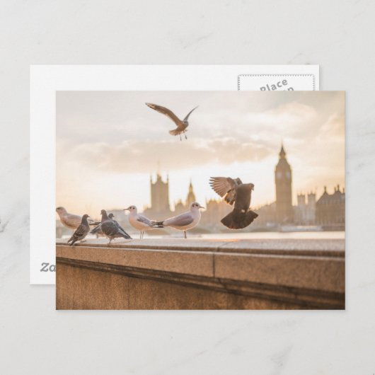 Carte Postale Big Ben et Westminster avec Pigeons (Devant / Derrière)