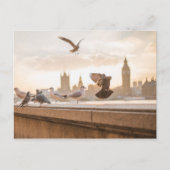 Carte Postale Big Ben et Westminster avec Pigeons (Devant)