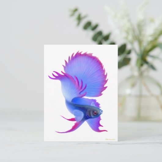 Carte Postale Big Blue Betta Fish (Debout devant)