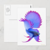 Carte Postale Big Blue Betta Fish (Devant / Derrière)